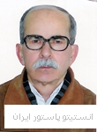 احمد محسنی 